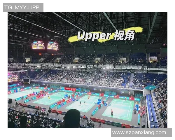 羽毛球赛事观众互动模式及赛事氛围对观赛体验的影响研究 羽毛球赛事观众互动模式及赛事氛围对观赛体验的影响研究